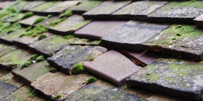 Lower Willingdon roof repair costs